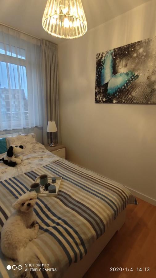 Fregata Apartamento Jastrzębia Góra Exterior foto